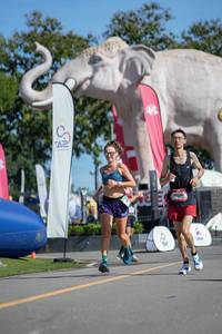 BIB: 
                            <button type="button" onclick="openModal(26544560)" class="btn btn-primary btn-sm float-right btn-popup" data-toggle="modal" data-target=".modal-high-quality">
                        <i class="fas fa-shopping-cart"></i> Add to Cart
                    </button>
                                            <button type="button" onclick="isThisMe(26544560, true)" class="btn btn-success btn-sm float-right btn-popup btn-isme hidden" data-toggle="tooltip" data-placement="bottom" title="นี่คือรูปของคุณใช่ไหม คลิกที่นี่เพื่อเอาเข้าอัลบั้ม">
                        <i class="fas fa-plus"></i> Add to album
                    </button>
                    <button type="button" onclick="isThisMe(26544560, false)" class="btn btn-warning btn-sm float-right btn-popup btn-isnotme hidden">
                        <i class="fas fa-ban"></i> Remove from album
                    </button>